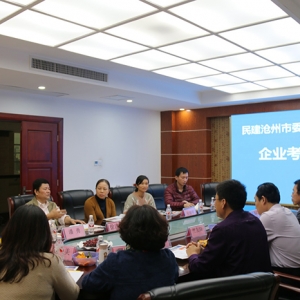 滄州民建考察團、南寧市民建調(diào)研組——行來我集團參觀考察 ... ...