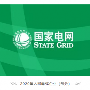 祝賀縱覽線纜集團成功進入國家電網(wǎng)供應(yīng)商名錄，成為廣西唯一一家進入國網(wǎng)的電線電纜供 ...