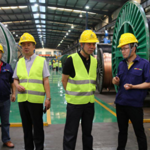 上海電纜研究所行業(yè)專家蒞臨縱覽集團調(diào)研指導(dǎo)