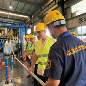 粵桂兩省區(qū)統(tǒng)戰(zhàn)部、工商聯(lián)領(lǐng)導(dǎo)蒞臨縱覽集團檢查指導(dǎo)工作