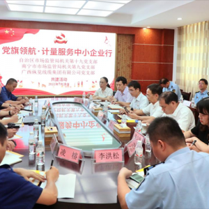 黨旗領(lǐng)航 結(jié)對(duì)共建共同服務(wù)經(jīng)濟(jì)建設(shè)——我司黨支部與廣西市場(chǎng)監(jiān)管系統(tǒng)四個(gè)黨組織開展 ...