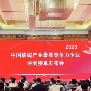 中國(guó)線纜產(chǎn)業(yè)最具競(jìng)爭(zhēng)力企業(yè)100強(qiáng)發(fā)布：縱覽線纜連續(xù)五年上榜！