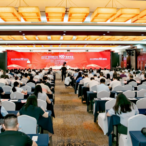 再傳喜訊！縱覽線纜集團(tuán)成為廣西線纜行業(yè)唯一上榜廣西民營(yíng)企業(yè)100強(qiáng)、廣西民營(yíng)企業(yè)制造業(yè)100強(qiáng)企業(yè)