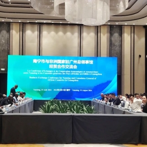 縱覽線纜集團(tuán)應(yīng)邀參加南寧市與非洲國家駐廣州總領(lǐng)事館經(jīng)貿(mào)合作交流會(huì)